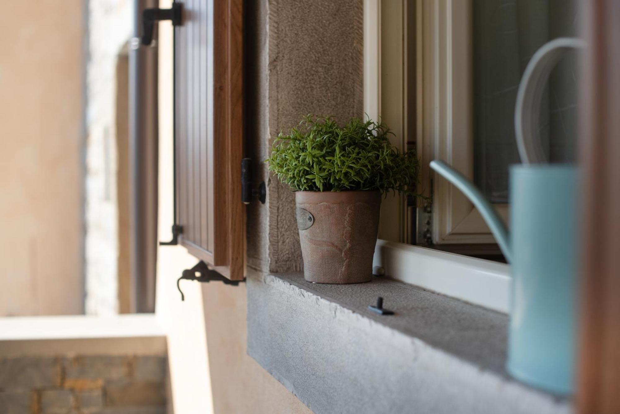 Truffle House Karlic Apartman Buzet Kültér fotó
