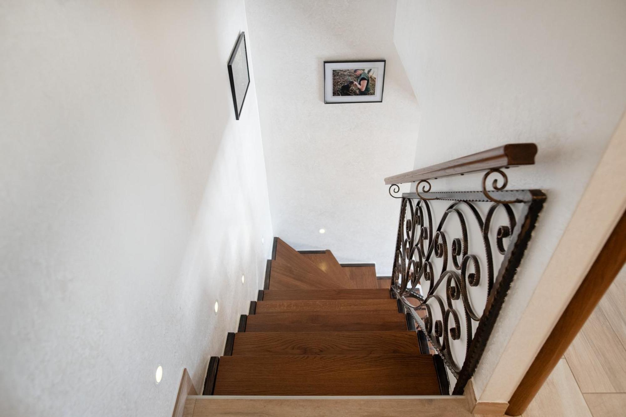 Truffle House Karlic Apartman Buzet Kültér fotó